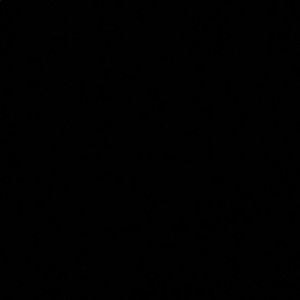 Meet your Posher, Isabella